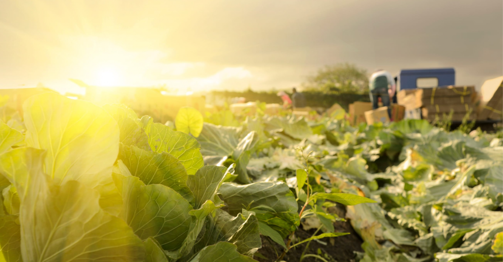 Fertilizer Canada Growing Stronger