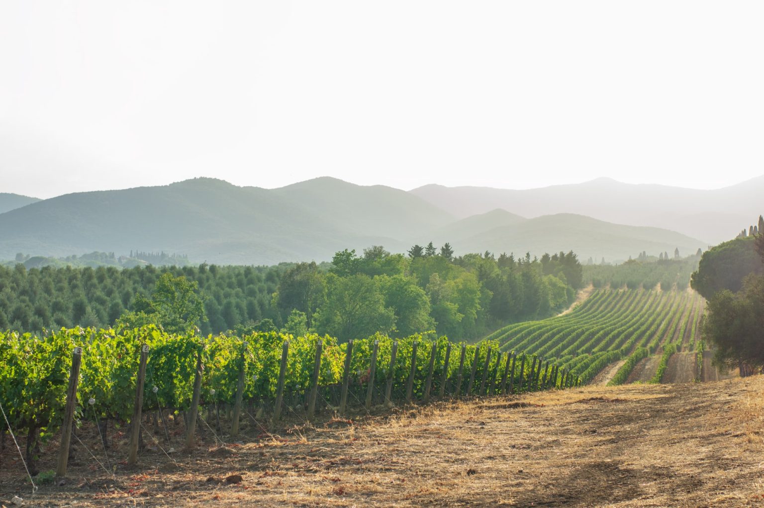 Global use and export Fertilizer Canada